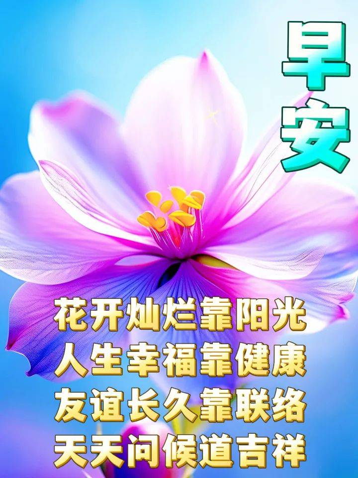 今日最新版早上好表情图片大全,天天问候,友谊长久