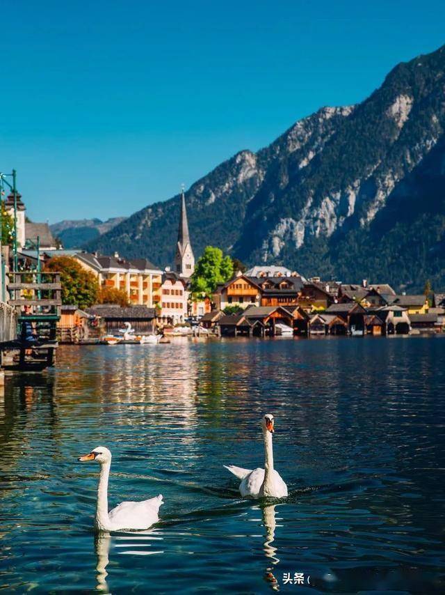 图片[13]-旅游签通过率85%申根国！比浙江小！还是0热度“世界咖啡之都”！ -华闻时空