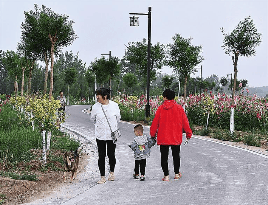 镜头定格堤顶路 "画廊"四季皆美景_王少华_运河_沧州