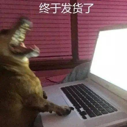 实用表情包:在忙