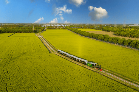 江苏太仓打造“四好农村路” 绘出乡村振兴新画卷