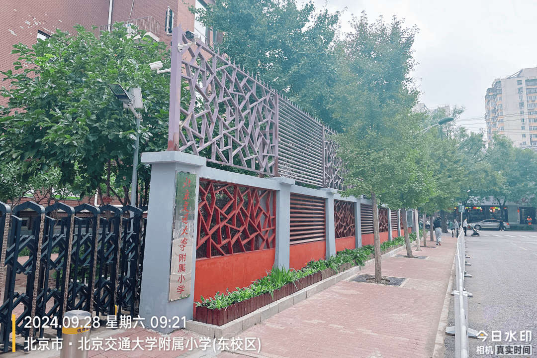 围墙透绿,一场海淀校园美景的共赏时光