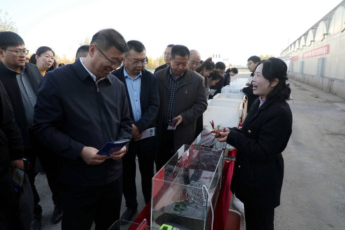 新疆兵团职工自主创业示范项目建设现场会在第一师阿拉尔市召开