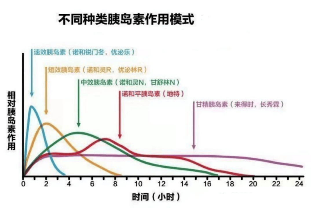 正常胰岛素分泌曲线图图片