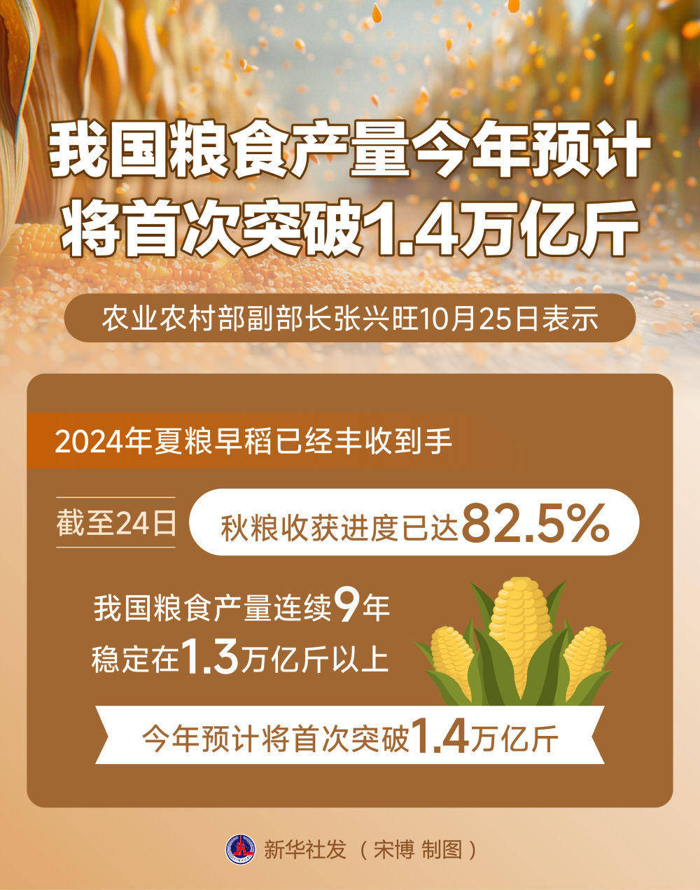 2025我国粮食总产单产均创新高 来自搜狐网
