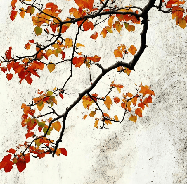 想象一下,时间是一位慈祥的老艄公,驾着一叶扁舟,悠悠穿行在名为"岁月