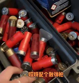 河南_子弹_因为