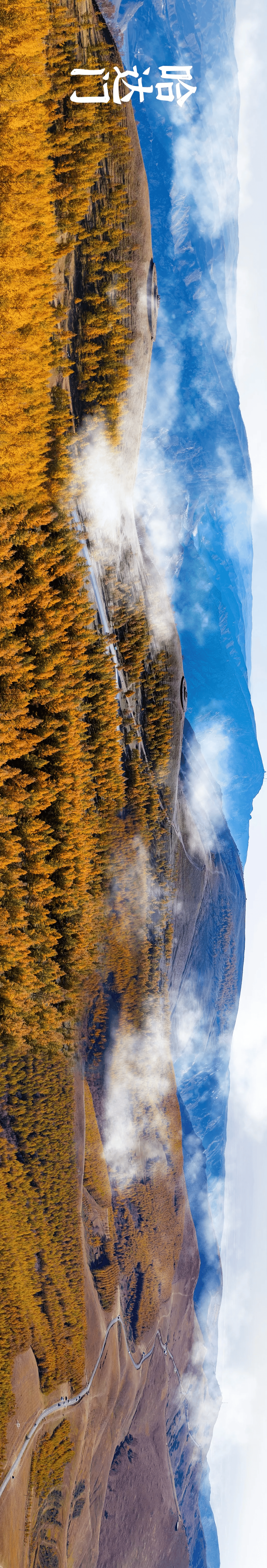 这样的呼和浩特大青山秋景,看看你见过吗?