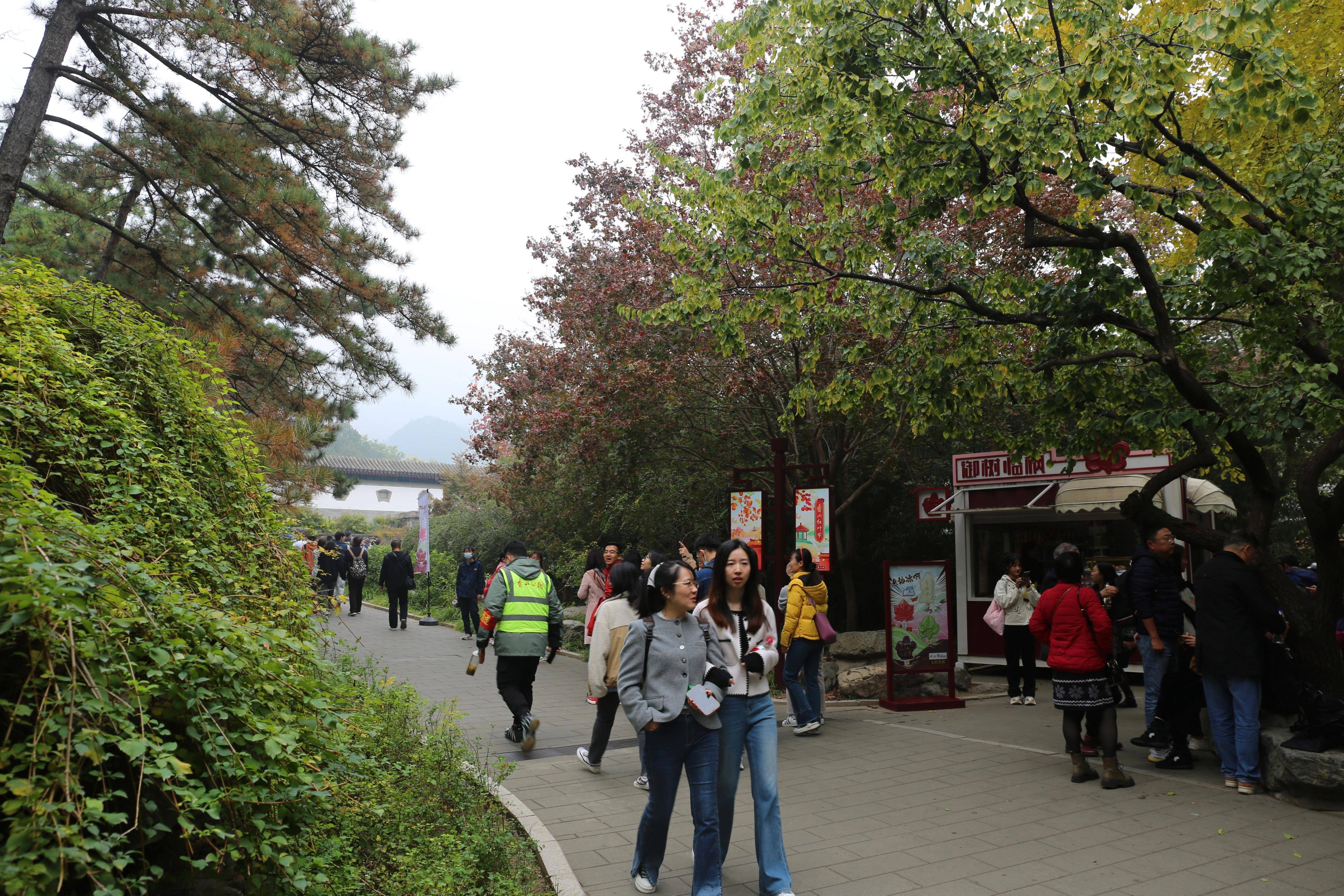 霜降催叶红,香山公园迎来游园最高峰时段