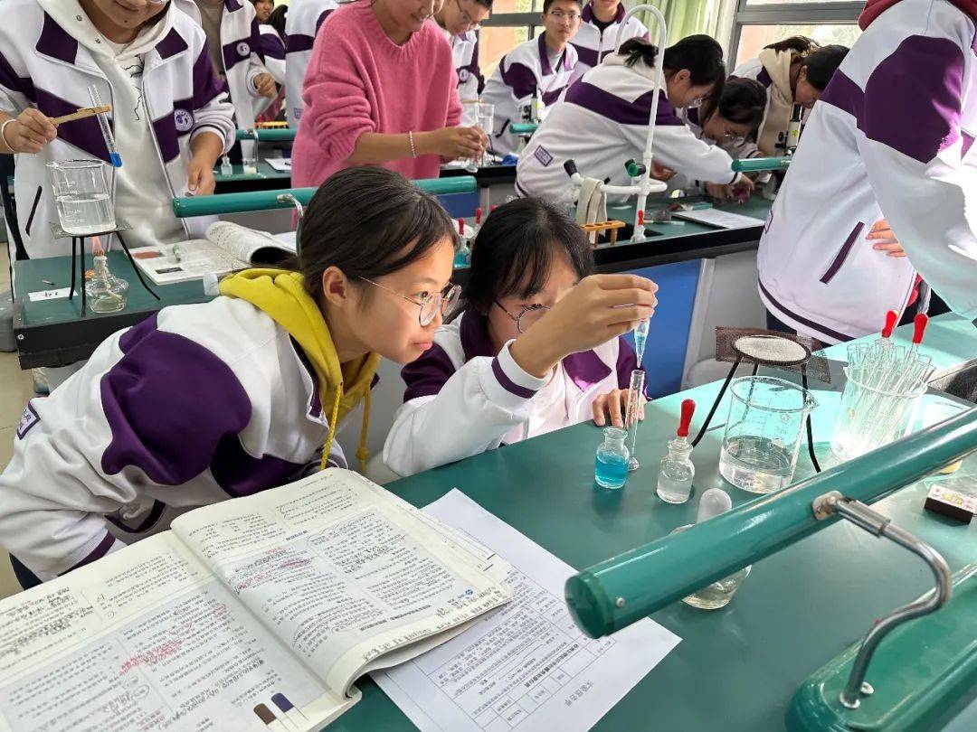 生物 | 实验探索真知,感受生物之美——高一年级学生开启实验新篇章