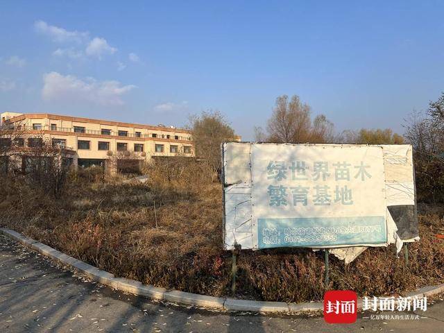 哈尔滨“警虎”于涛涉黑团伙覆灭：商业版图涉30余家公司，二号人物在逃｜封面头条