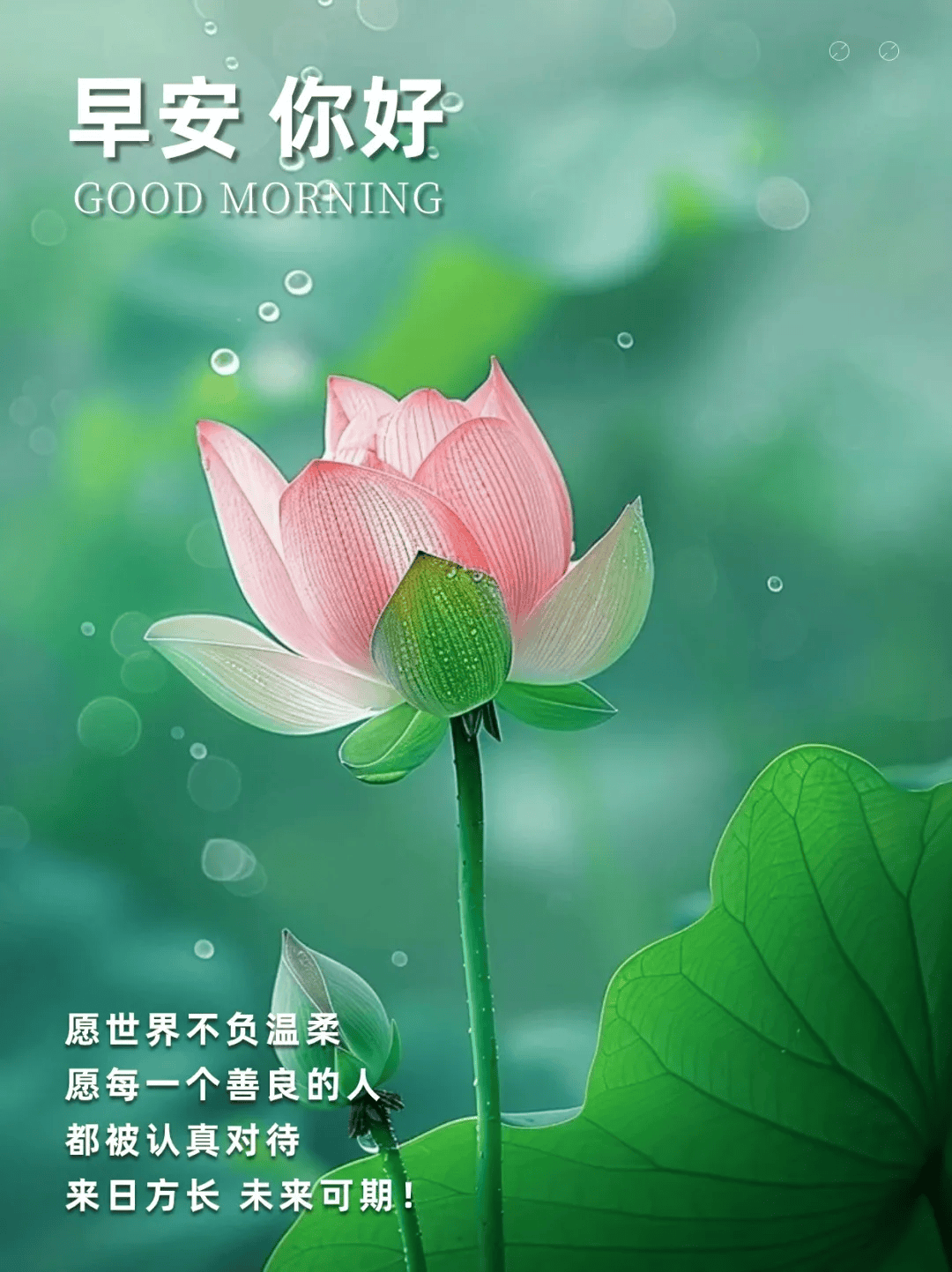 一天一句心情正能量(一天一句心情语)