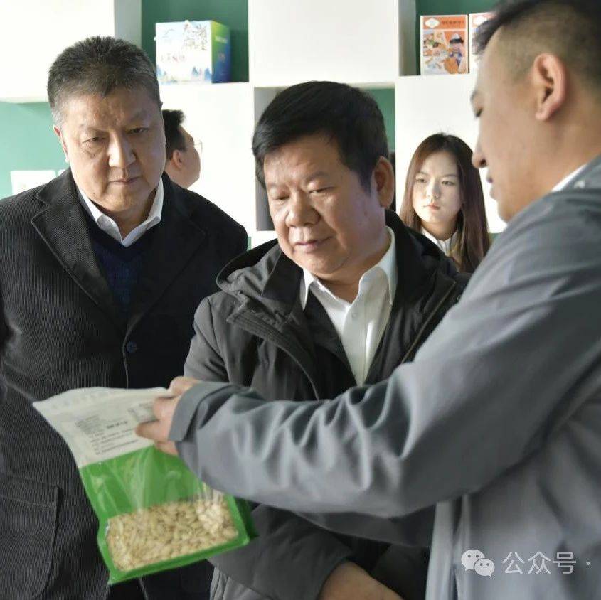 中国乡村振兴发展中心来淳调研定点帮扶工作_情况_淳化县_一行