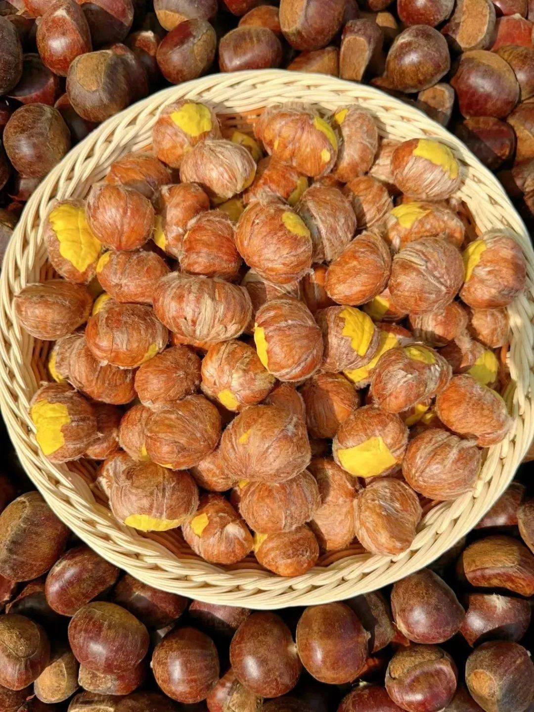 信阳90后小两口返乡直播卖板栗,一年跻身行业头部商家 信阳90后小两口返乡直播卖板栗,一年跻身行业头部商家