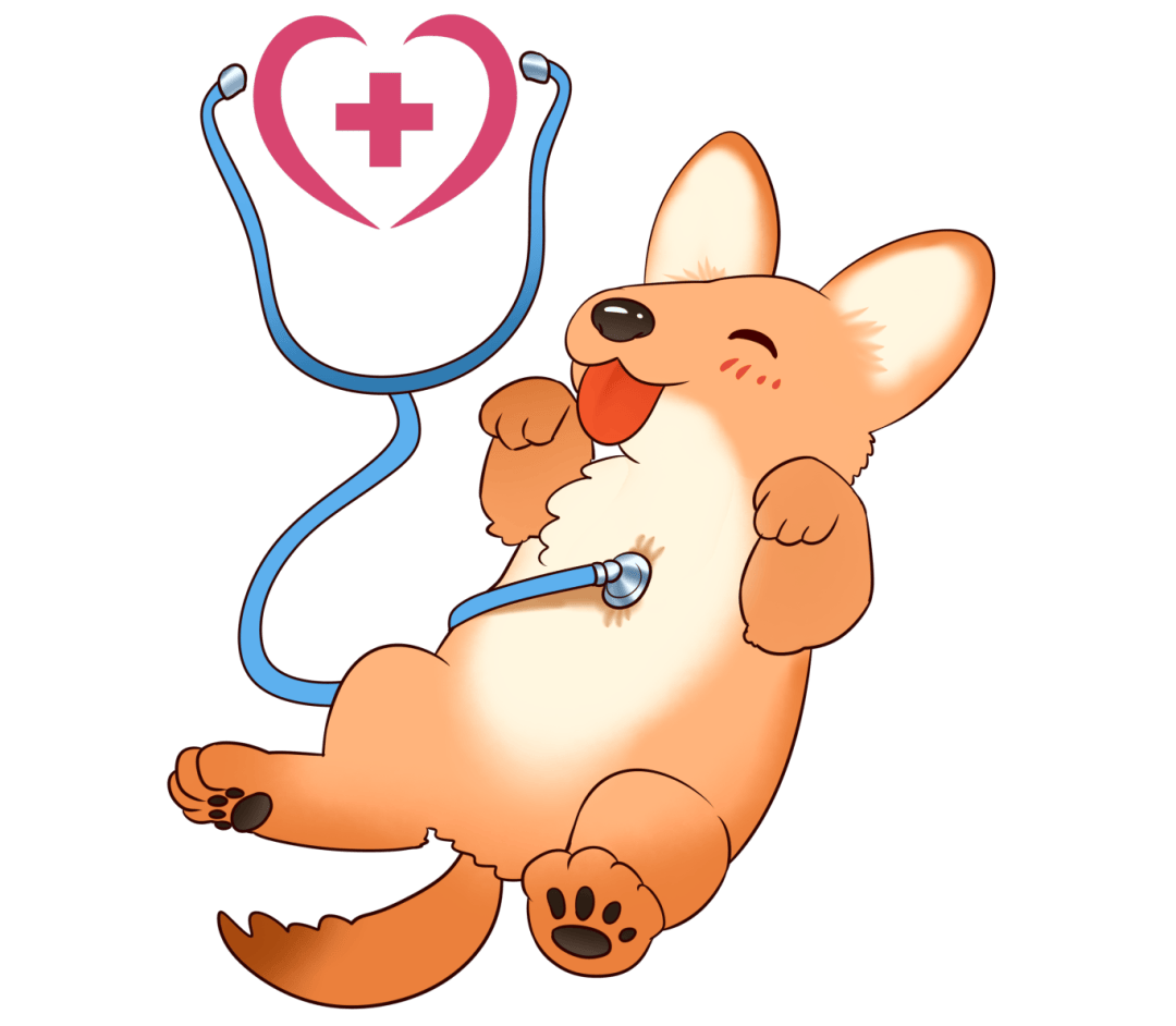 "首违不罚"!这场动物诊疗辐射问题协调会有尺度也有温度!