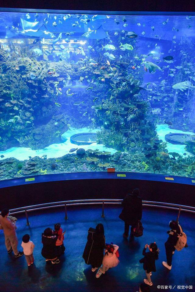 圣彼得堡海洋水族馆图片