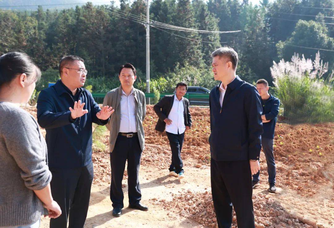 11月3日,县委书记易刚在深入乡镇调研耕地保护和自然资源督察发现问题