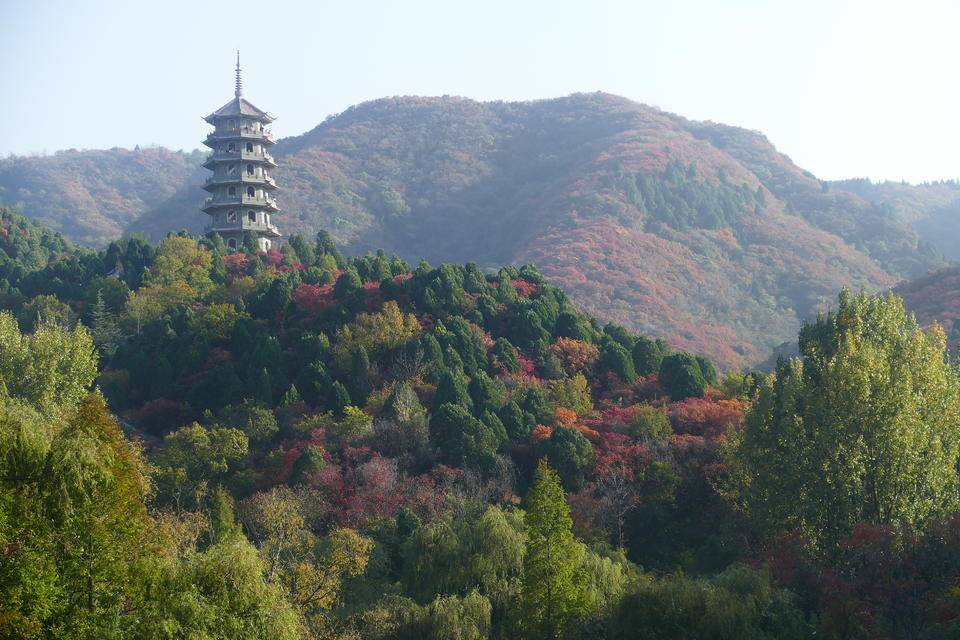 本周末济南红叶咋样了?这组红叶谷实拍照片供参考,赏红抓紧啦