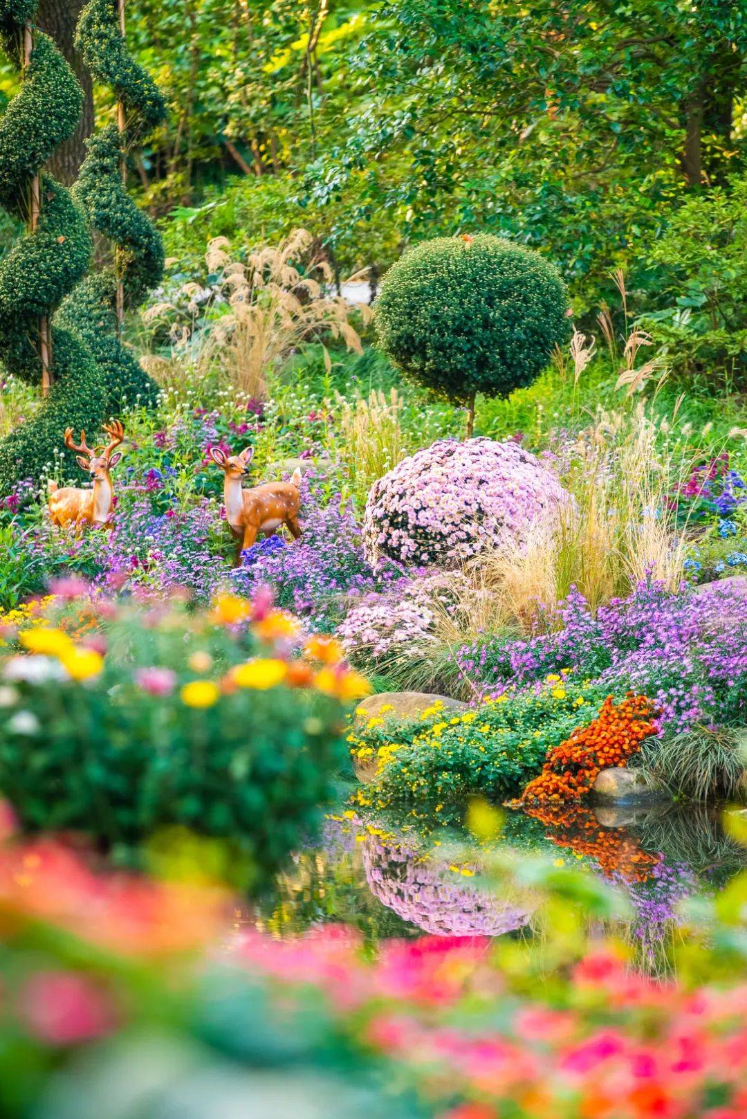 欧洲在线观看平台流量激增，用户规模创历史新高，内容生态迎来新机遇，行业格局或将重塑