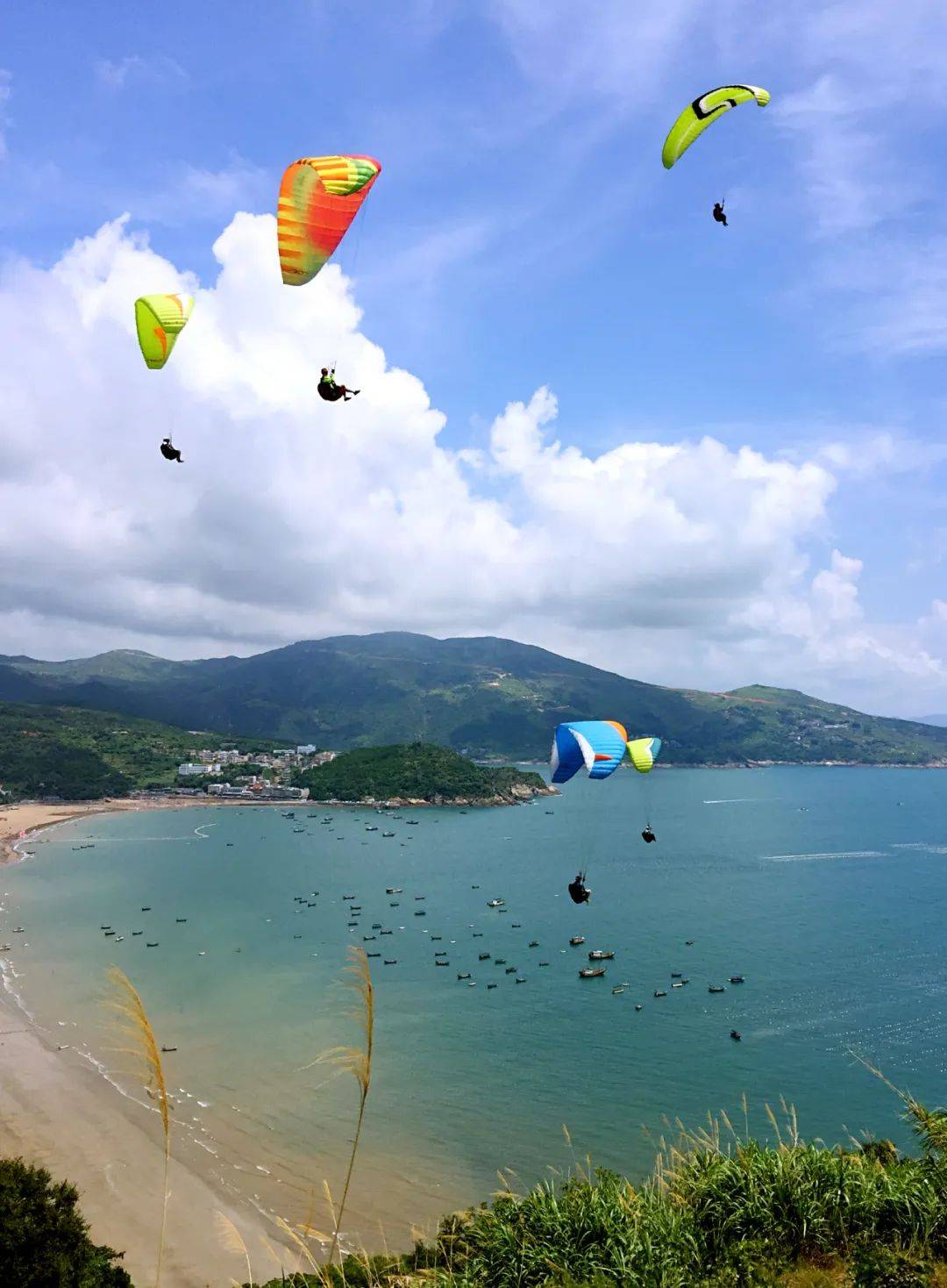 苍南县168黄金海岸线图片