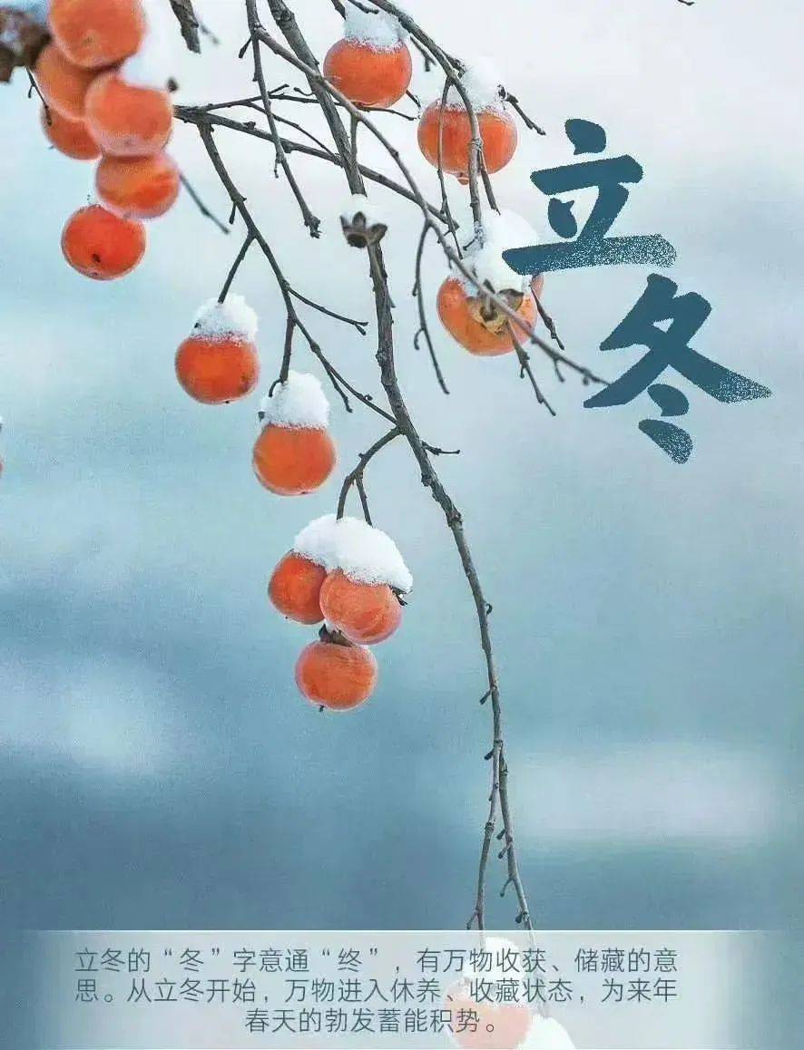 11月7日早安立冬祝福句子!新的一天,新的开始!人生只要努力,就有希望