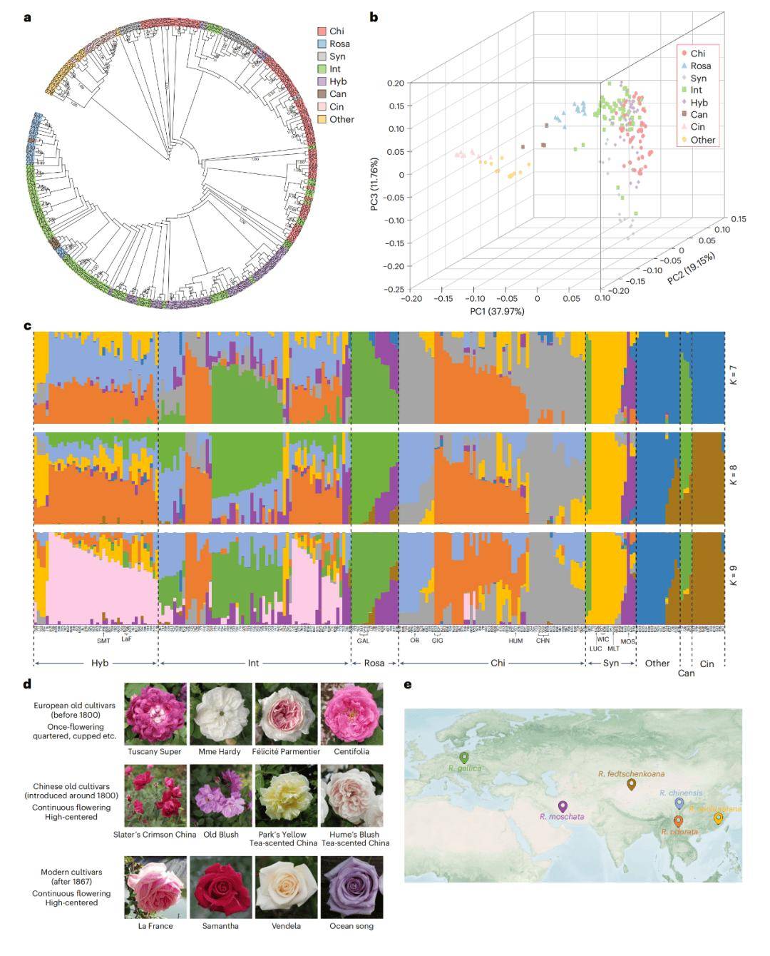 nature plants | 花卉专家团队首次实现对四倍体现代