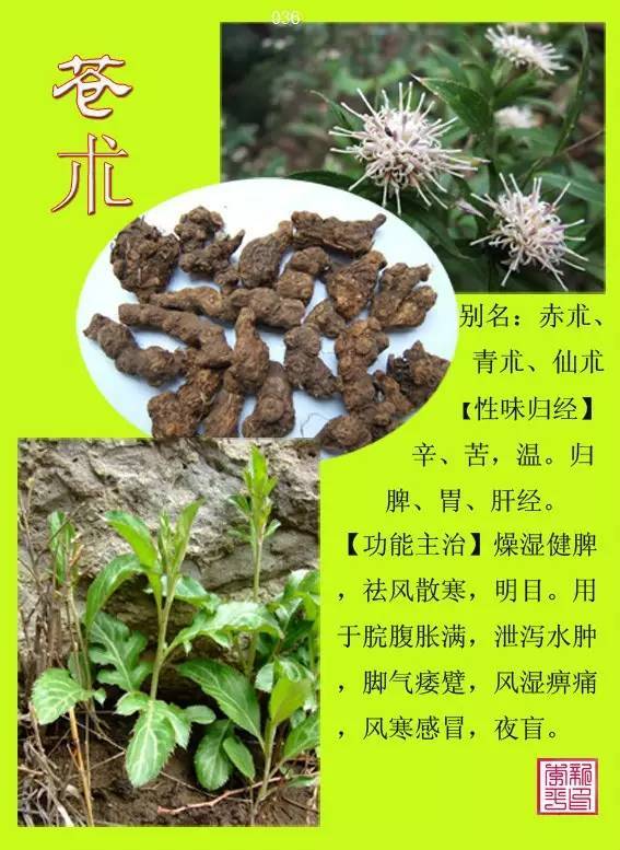 12000种中草药图解图片