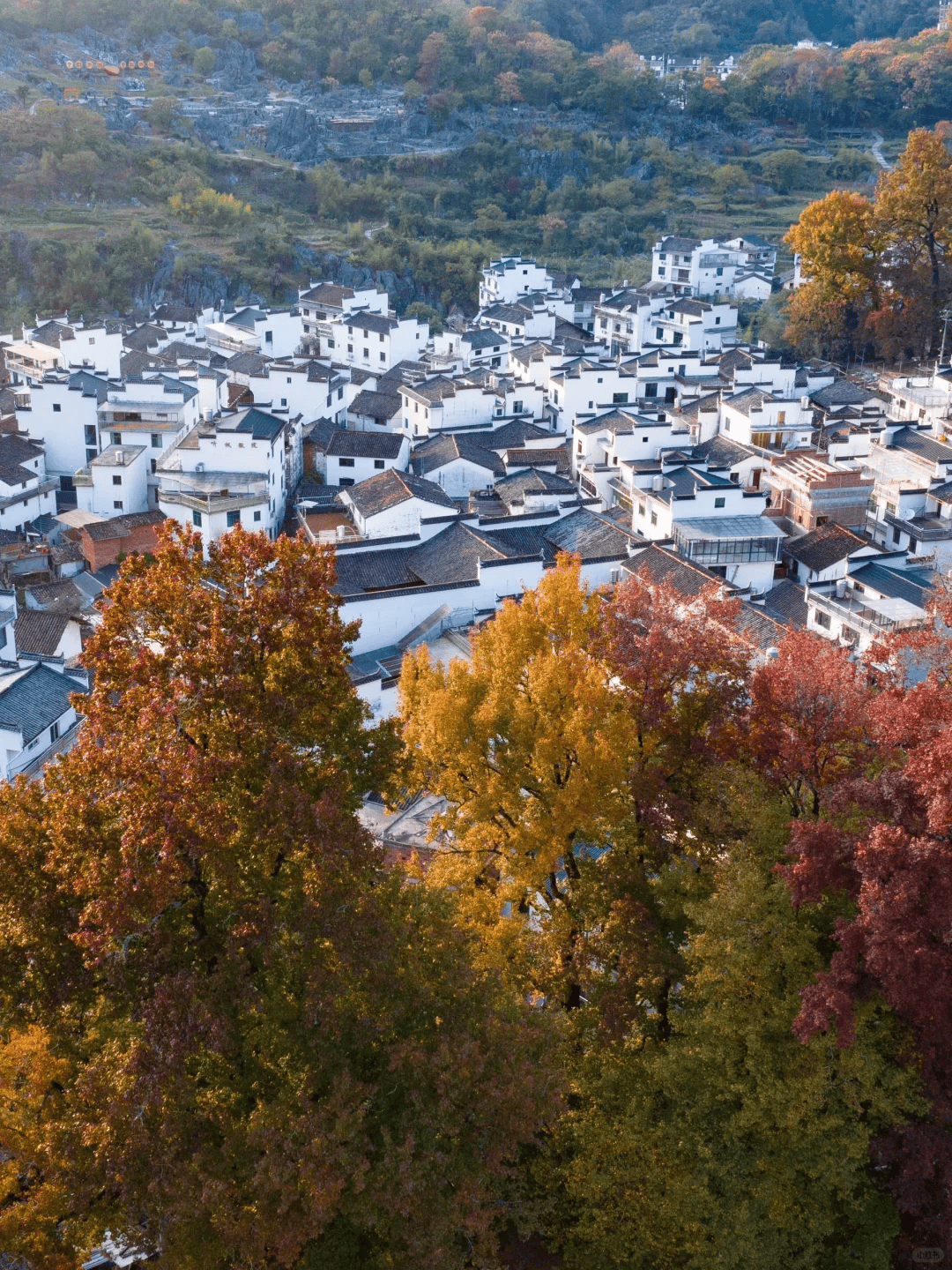 婺源江岭景区电话图片