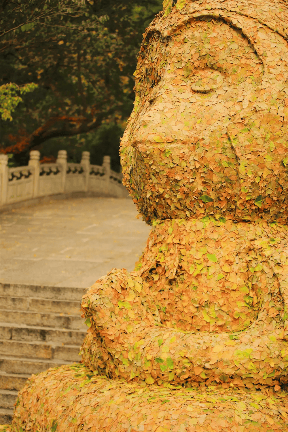 九龙桥花果山图片