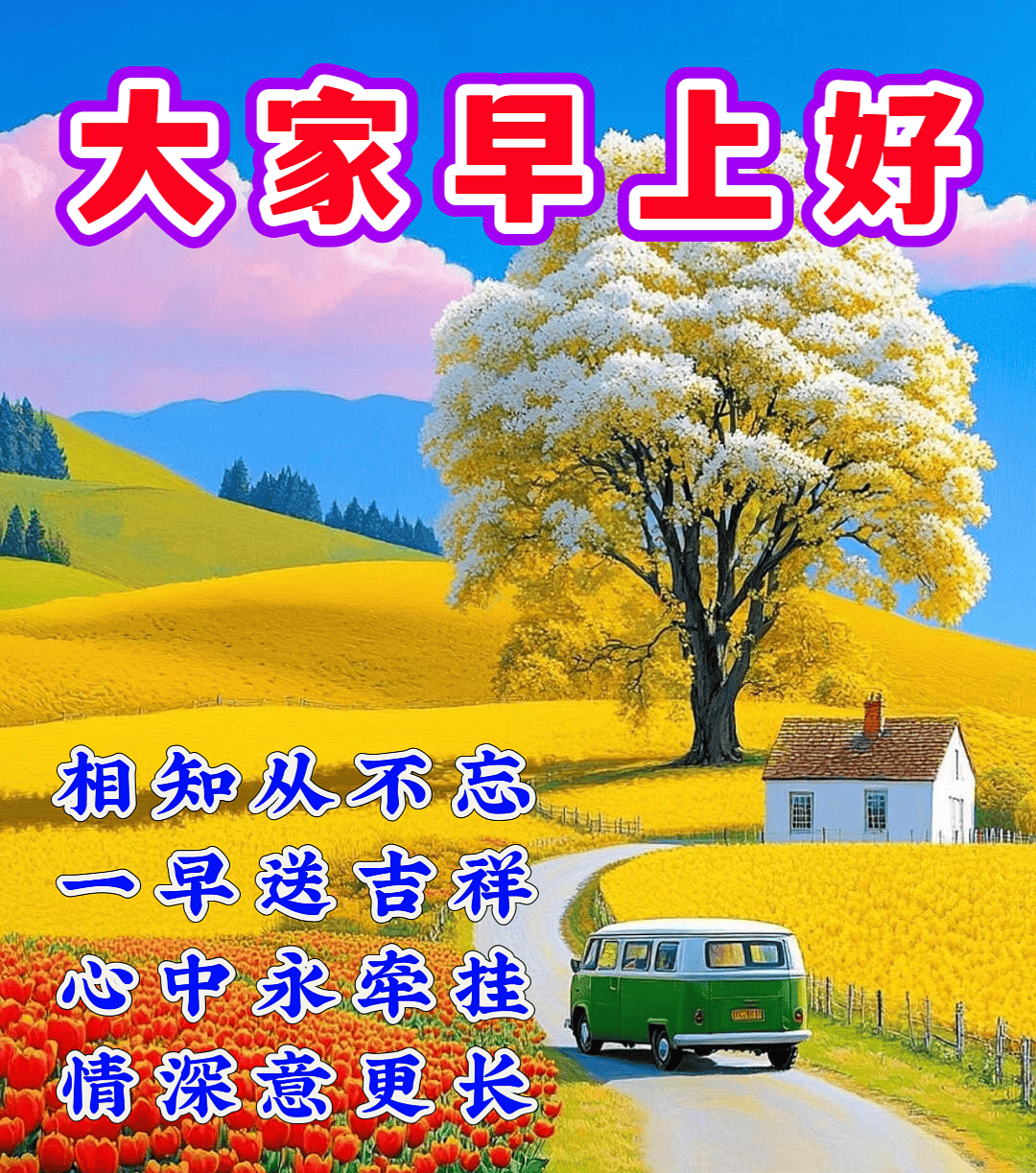 今日最新美女早上好表情包大全,简单问候天天说,愿你快乐每一天!