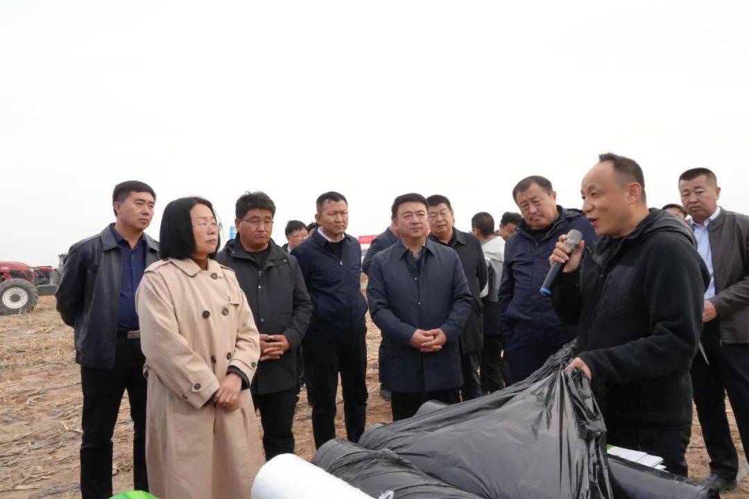 市政府副市长张如红,市政府办副处级干部王明,市农牧局