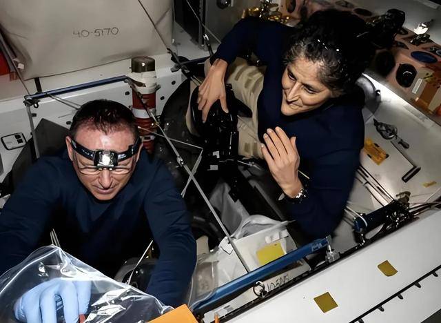 尖嘴猴腮!美国女宇航员瘦脱相,台专家:身体出现三个状况