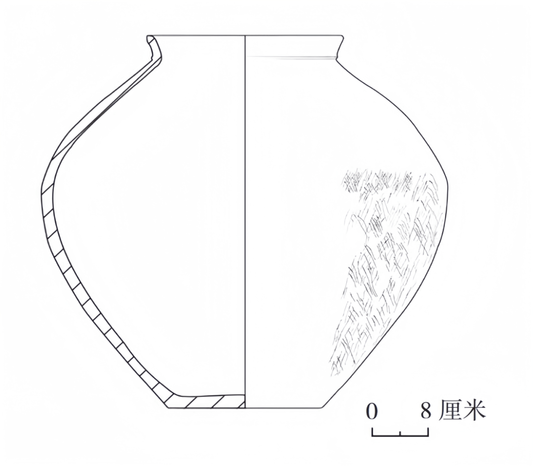 山西发现的大墓图片