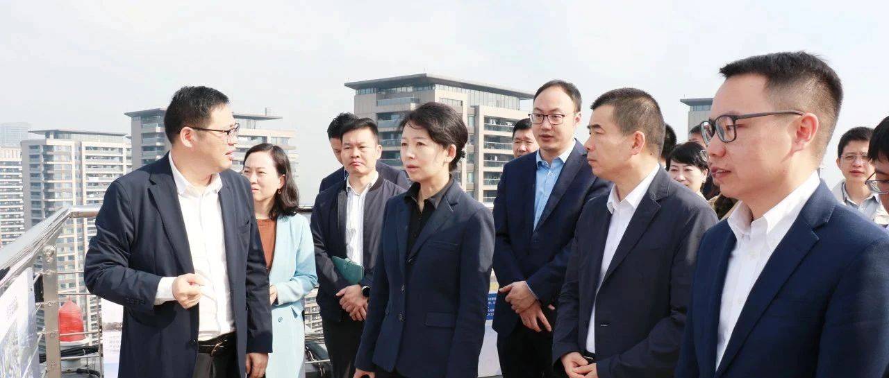 商务部自贸区港司副司长何咏前带队到江南科技城考察_发展_产业_小镇