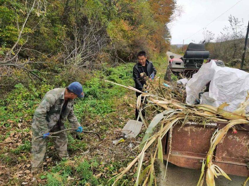 安图县两江镇:常态整治"不松劲" 打响人居环境"秋冬战