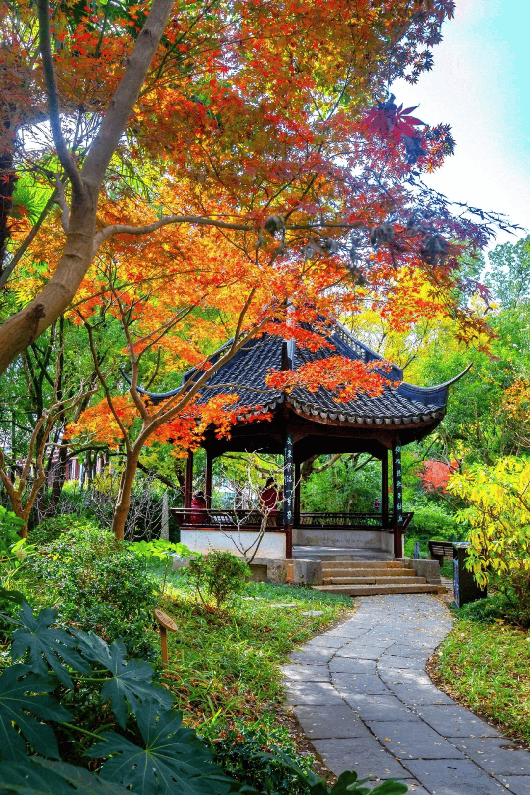 松江叶榭旅游景点大全图片