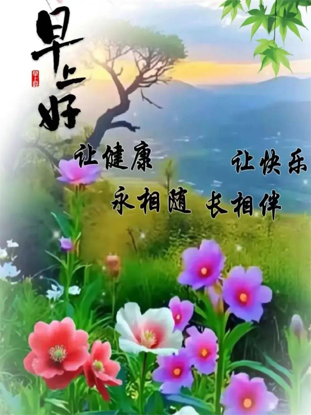 夏季早上好的精彩图片图片