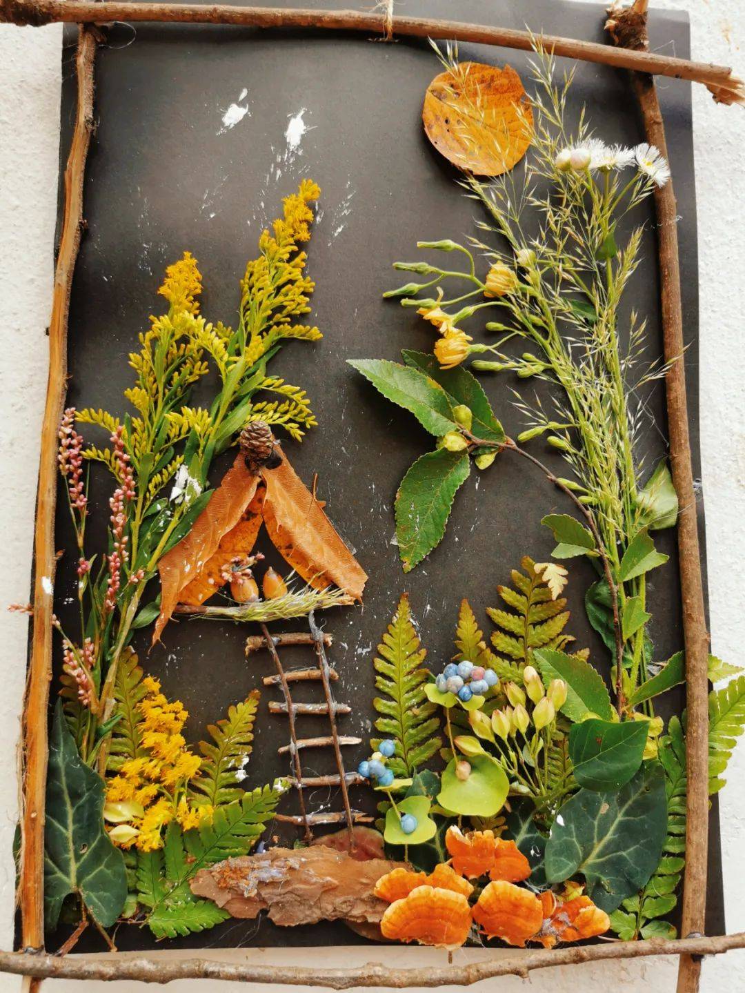 制作的手工画标本压花果实风铃等这热爱生活的仪式感让每一个平凡