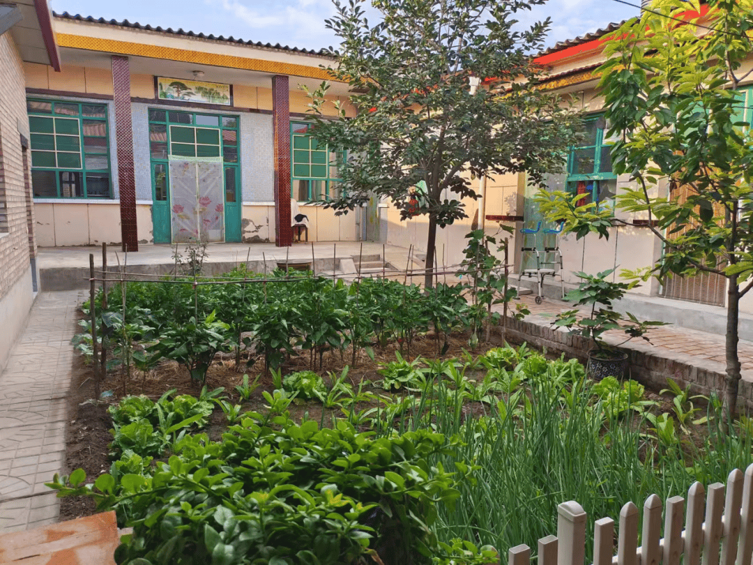 绘和美画卷 展幸福生活 晋中市美丽庭院示范户展播