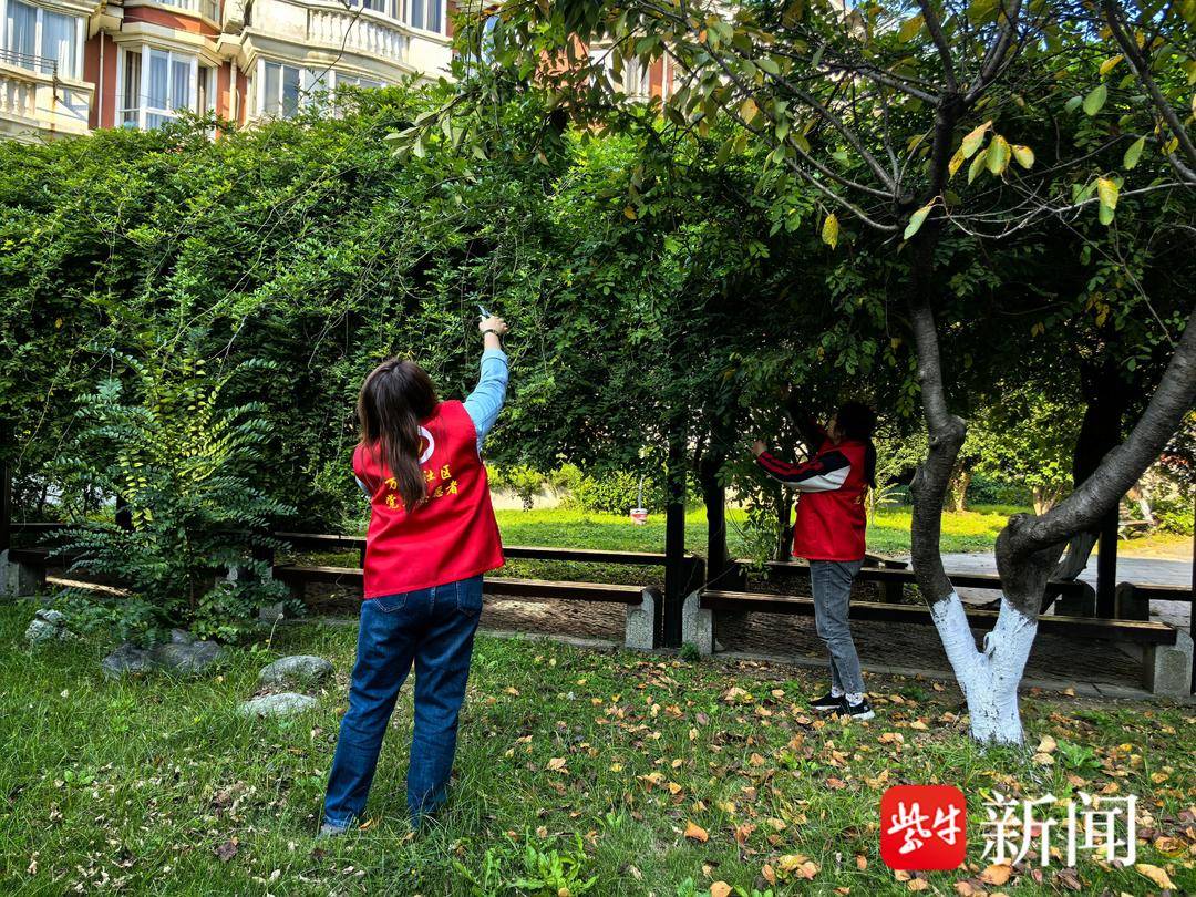 共建共治引领垃圾分类，志愿服务维护净美街巷