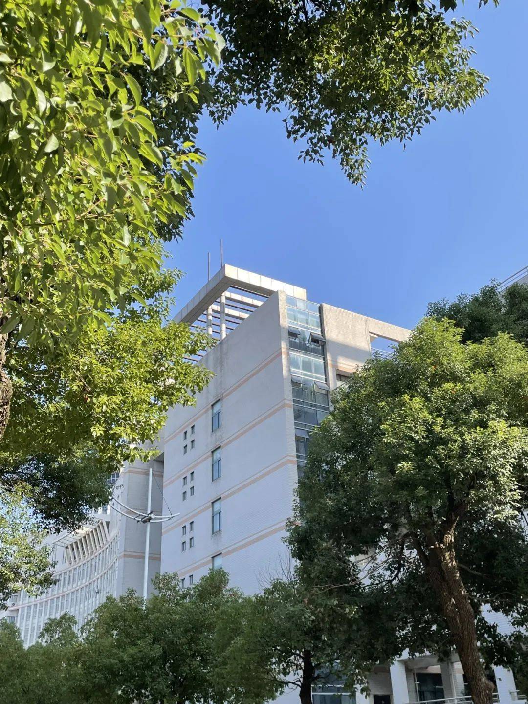 假如湖工大的它们会发朋友圈