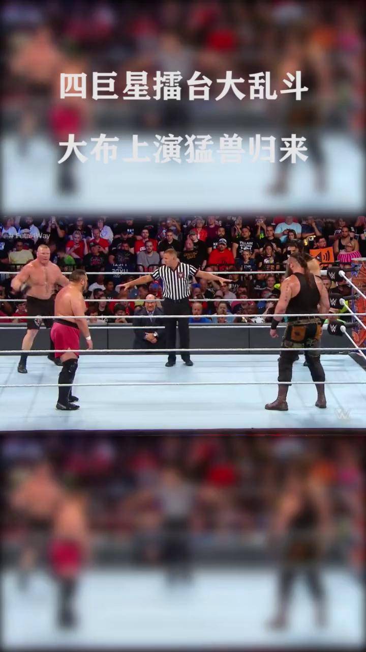 wwe罗曼vs大布图片