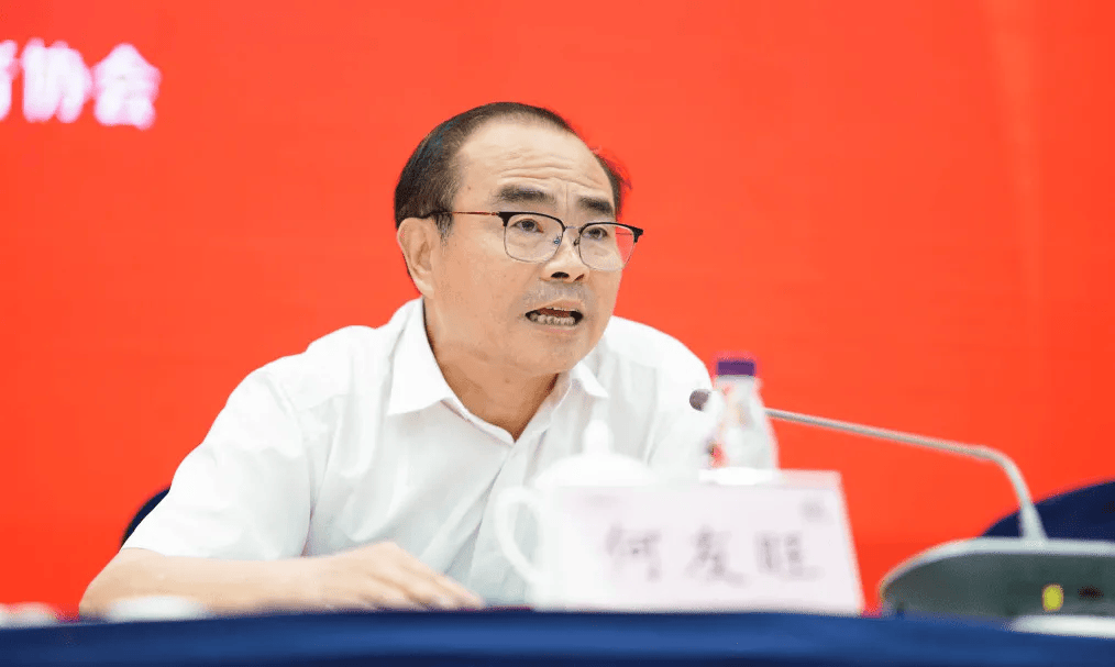 市委组织部副部长等职,2009年任芜湖县县长,2011年任芜湖县委书记