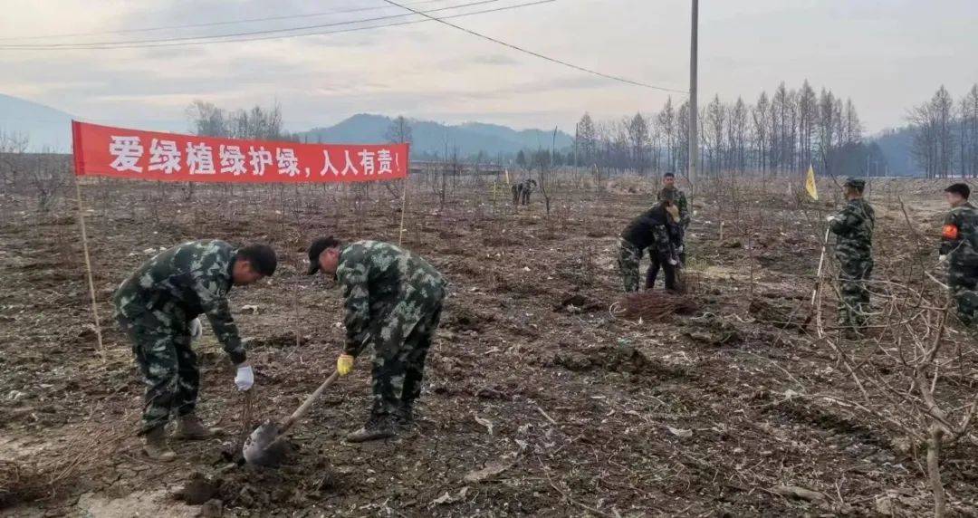 【政治建企】铁山林场：深入开展“强堡垒、争先锋、促改革”活动