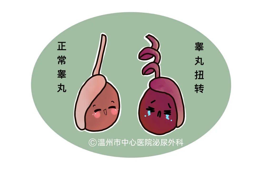 "别让青春少颗蛋"