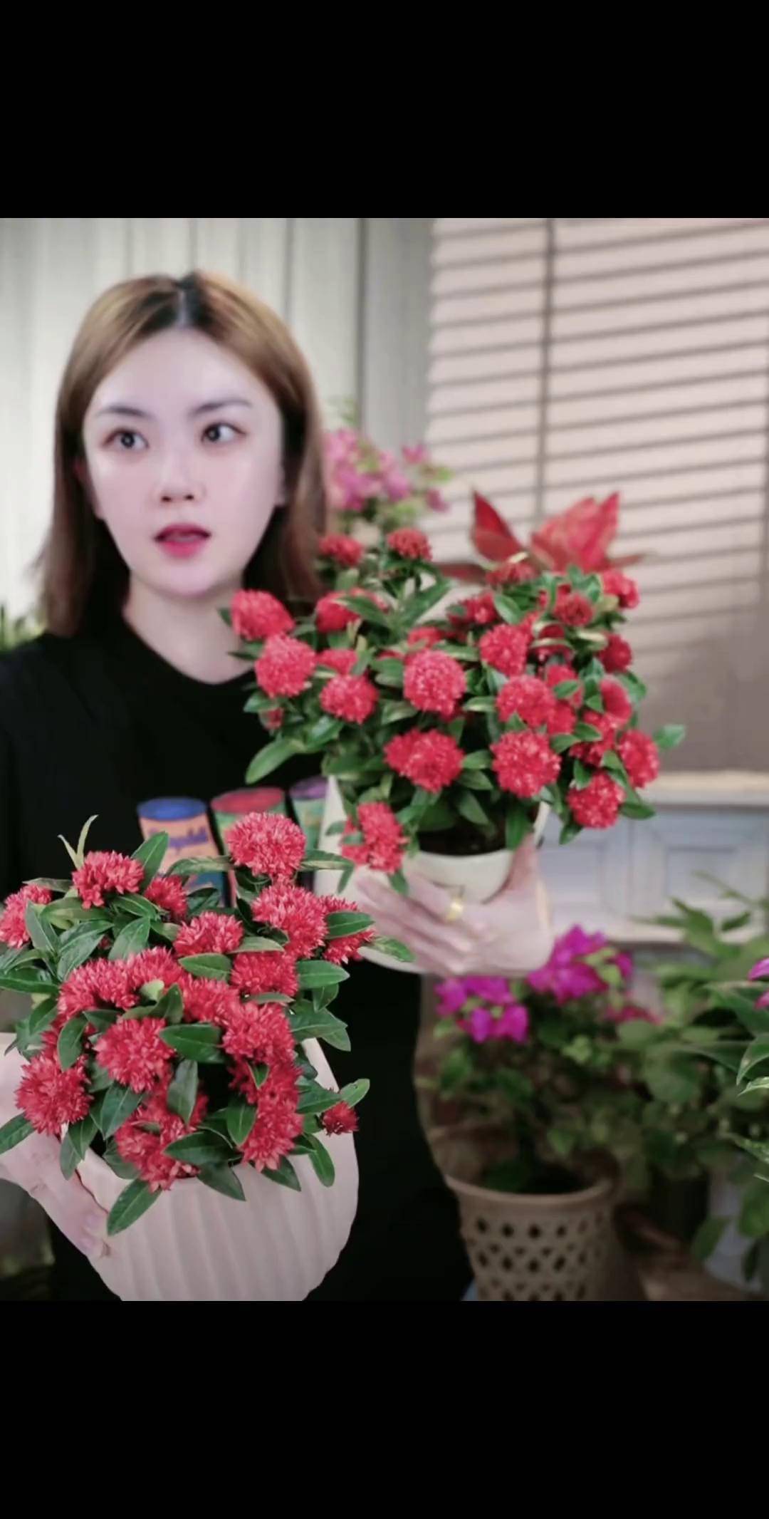 卖花的小女孩油画风 人人都是世界名画
