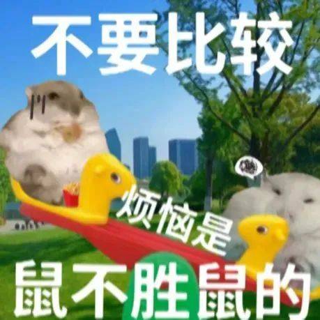 斗图新高度,萌趣搞笑表情包合集