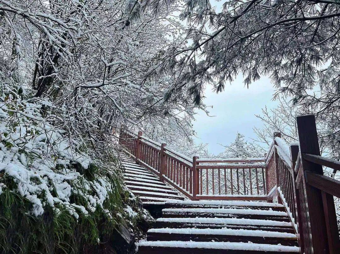 紫柏山雪景图片