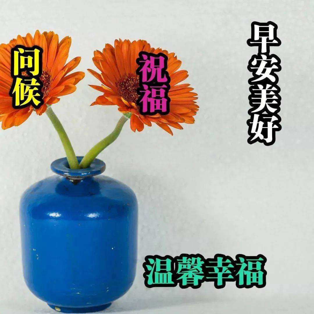 早上简短美句八个字(早上简短美句八个字图片)