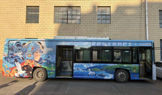 “鸥气十足” 昆明公交观鸥巴士全新亮相